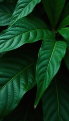 Dark green, glossy tropical foliage, intricate leaf detail , details, glossy, dense