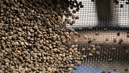 Raw Coffee Beans Being Sieved for Processing