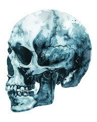 PNG Skull drawing sketch art.