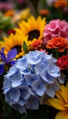 Close-up of hydrangeas, sunflowers, carnations, and irises at a florist, market, bloom © alain louis