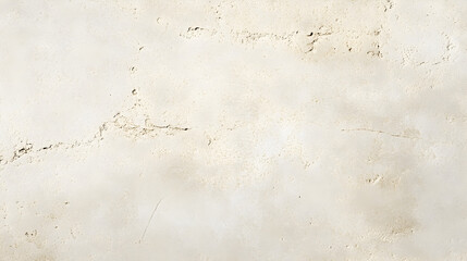 limestone texture with soft fossil imprints and smooth weathered edges 