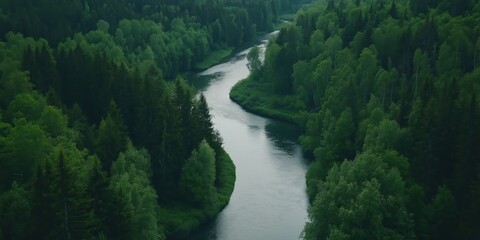 Fototapeta premium An aerial view of a serene river gently winding through an expansive green forest, capturing the peaceful beauty of nature and the harmony between water and woodland.