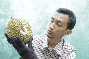 An Asian man wearing black gloves holds and observes a ripe Durian fruit or Durio zibethinus or...