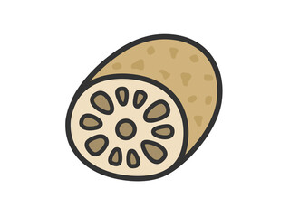 Fototapeta premium レンコンのアイコン（線画カラー）のイラスト