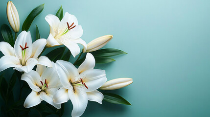 Close-up of white lilies evokes calm and serenity, perfect for beauty, wellness, and spa promotions, especially around Mother's Day or spring events.