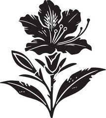 Jasmine Flower Vector Illustration, Jasmine Flower silhouette vector icon black and white