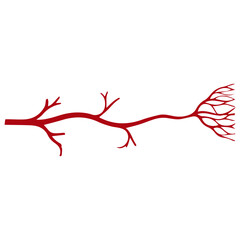 branching vessel red icon