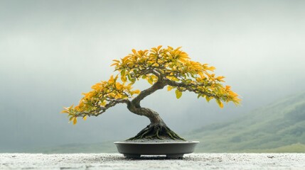 Serene Bonsai Tree  Golden Leaves  Tranquil Zen Garden  Nature Wallpaper