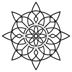 Fototapeta premium black and white flower