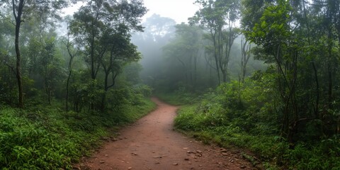 Obraz premium The image captures a winding dirt pathway shrouded in mist, offering a tranquil and mysterious atmosphere that invites exploration into the lush forest.