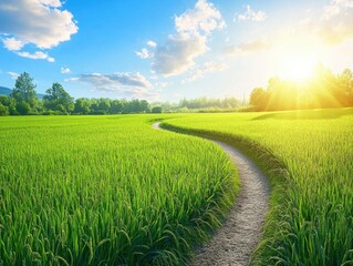 Fototapeta premium Tranquil path through vibrant green field under a bright sky inviting nature lovers to explore