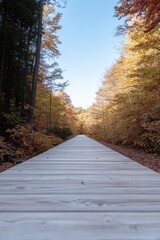 capture wide-angle shot of empty wooden boardwalk stretching into vibrant autumnal forest where golden orange and red