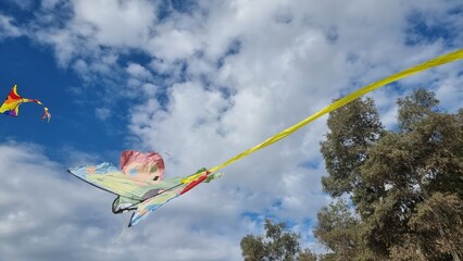 kite kites flying on the sky rope hand playing