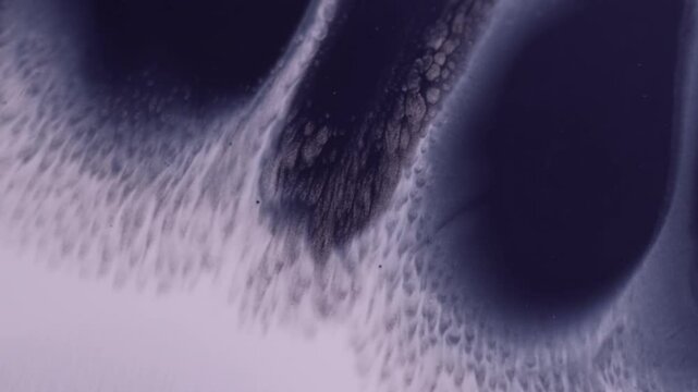 Ink dripping. Wet blob. Shapeless black blue gray spot row paint spilling on purple paper. Messy spatter texture defocused flow abstract background.