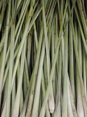 fresh lemon grass 