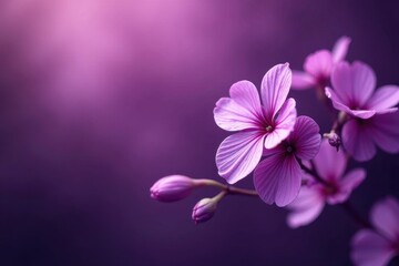 Obraz premium Deep purple floral arrangement, blurred purple backdrop , floral, home decor