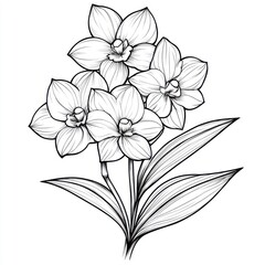 Obraz premium Realistic coloring page of ghost orchid flowers for kids nature illustration creative activity relaxing environment