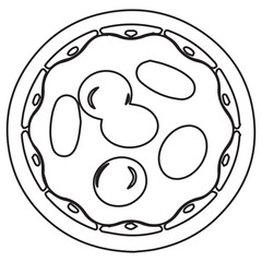 Vessel cross with red blood cells line icon