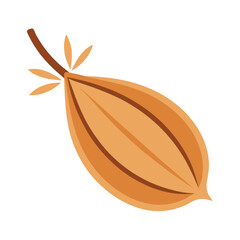 illustration-of-caraway-seeds-isolated-on white background.