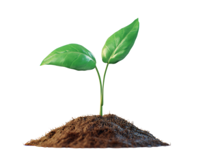 3D Rendered Sprout Growing in Soil on transparent background Generative Ai