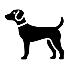 dog icon isolated PNG transparent