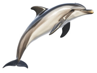 dolphin gracefully jumping out of water, showcasing its sleek body and smooth skin. image captures dynamic movement and elegance of dolphin in mid air