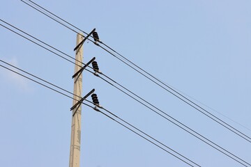 High voltage three phase overhead power lines, blue sky background