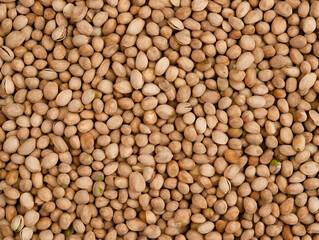 Macro Photo of Pistachio Nuts Realistic Image Food Healthy Brown