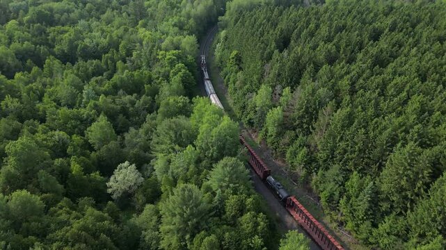 An overhead view of a freight train rolling through a lush forest - Survol d'un train de marchandises qui roule dans une for&ecirc;t verdoyante de feuillus et de pins avec un l&eacute;ger vent dans les branches