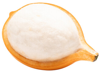 Fresh Yellow Achacha or Lemon drop mangosteen isolated on white background, Yellow Garcinia humilis or Garcinia intermedia on white background PNG file.