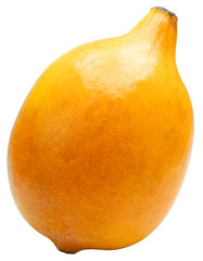 Fresh Yellow Achacha or Lemon drop mangosteen isolated on white background, Yellow Garcinia humilis or Garcinia intermedia on white background PNG file.
