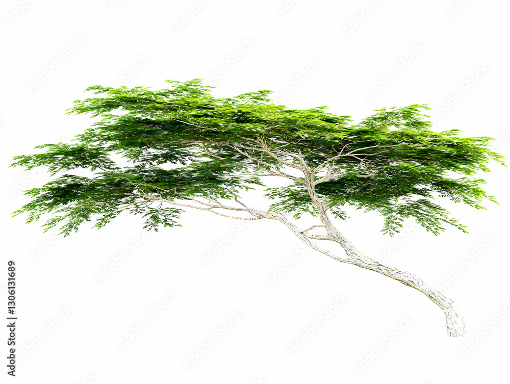 Poster realistic image of a green tree branch on white background