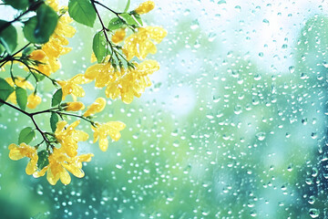 Yellow Flowers On Rainy Window As Realistic Photo