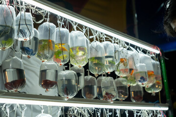 Plastic bags filled with colorful ornamental fish hang under bright LED lights at a bustling night market. The vibrant bettas and goldfish attract customers, creating a unique and lively display.