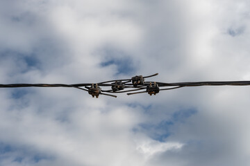 A close-up of a damaged electrical cable with multiple connectors and exposed wires against a cloudy sky. The frayed and loosely connected cables highlight infrastructure decay and safety concerns.