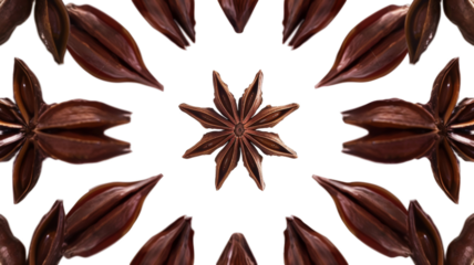 Star Anise Kaleidoscope: Spice Pattern.