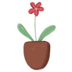 flower in pot