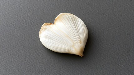 Heart-Shaped Shell Detail Against Dark Background Showcasing Natural Beauty of Marine Life and Coastal Treasures
