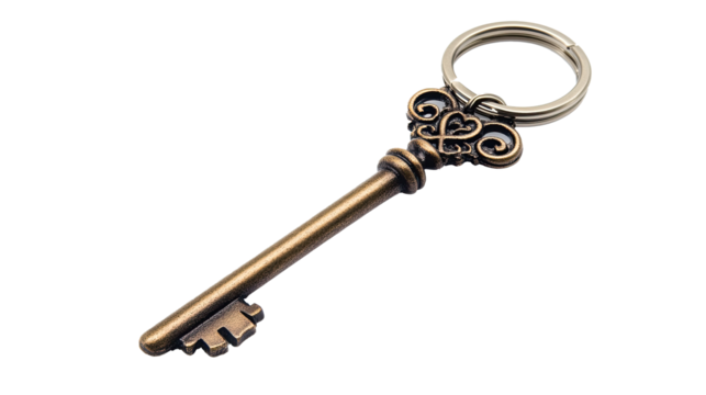  Vintage Bronze Skeleton Key Keychain – Antique Style Elegant Accessory on white background
