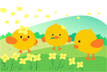 chicks on a spring day