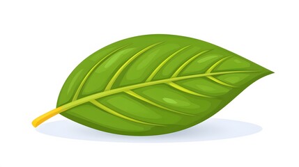 Obraz premium Vibrant Green Leaf Illustration Isolated on White Background
