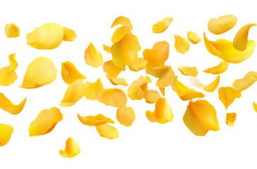  Falling yellow rose petals isolated on a transparent background (4)