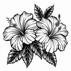 black and white flower