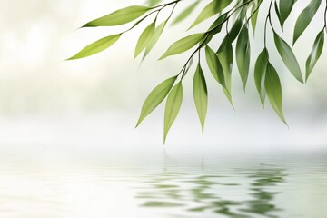Obraz premium A clean geometric representation of a willow tree reflecting in water, with simplified shapes and subtle contrasts of green and blue