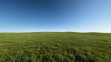 Fototapeta premium Undulating green field under clear blue sky; panoramic view; nature background; website banner
