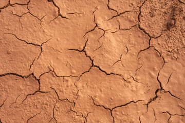 Cracked dry earth with deep fissures forming an intricate pattern. The parched, brown soil reflects...