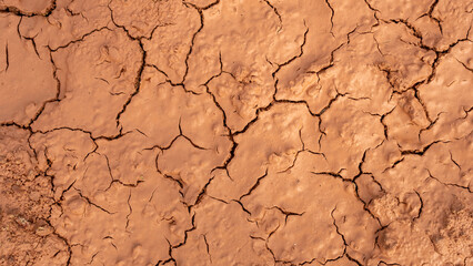 cracked, dry earth with an intricate network of deep fissures. The parched soil has a rich, earthy tone, showcasing the effects of drought, climate change, and extreme environmental conditions.