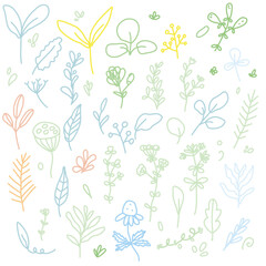 Floral, Branches Doodle Vector Set Isolated Colorful