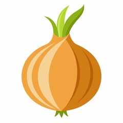 An onion illustration isolated on white background