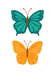 Two vibrant butterflies, one teal and one orange, with intricate wing patterns. Perfect for nature themed designs, childrens products, or spring and summer decor.
